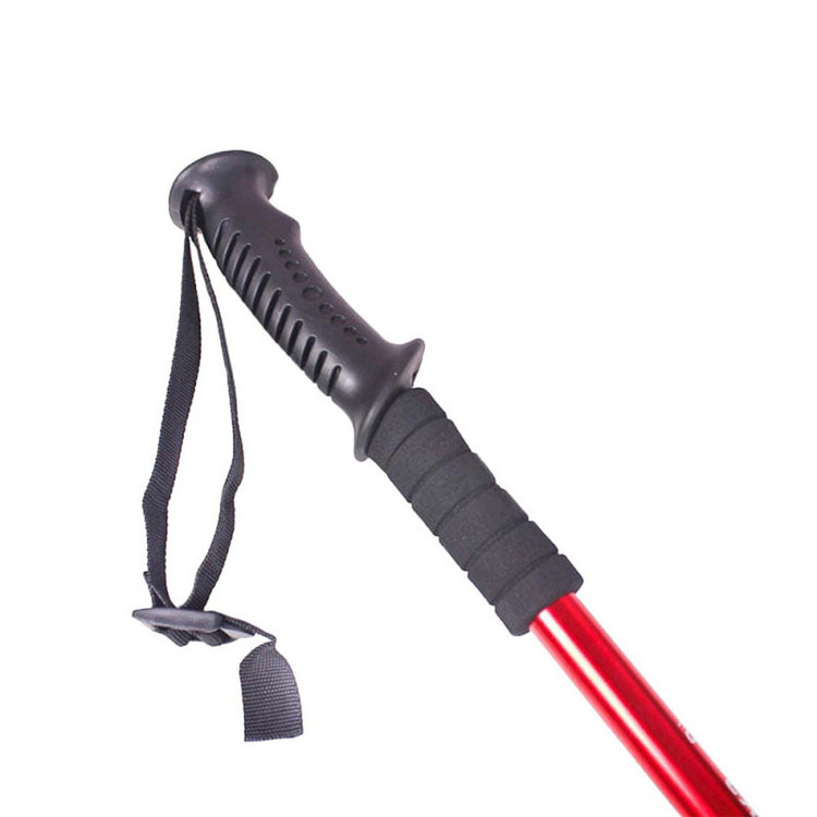 عصای کوهنوردی campsor