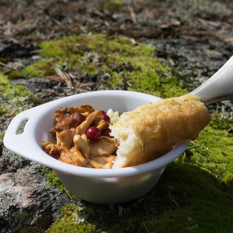 کاسه فایرمپل فیست 3